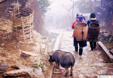 caminos-en-vietnam